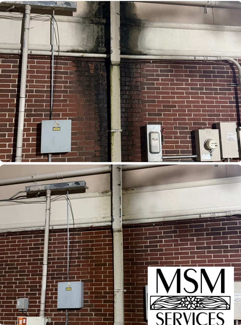 Softwash application on commercial building exterior by MSM Services Texas